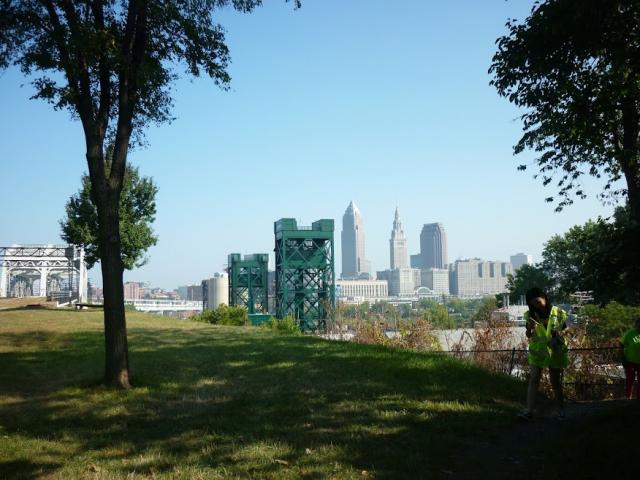 Destroyed greenery on RED LINE Greenway