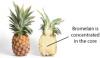 220px-Pineapple_and_cross_s.jpg