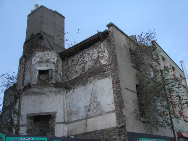 a tree grows in a building