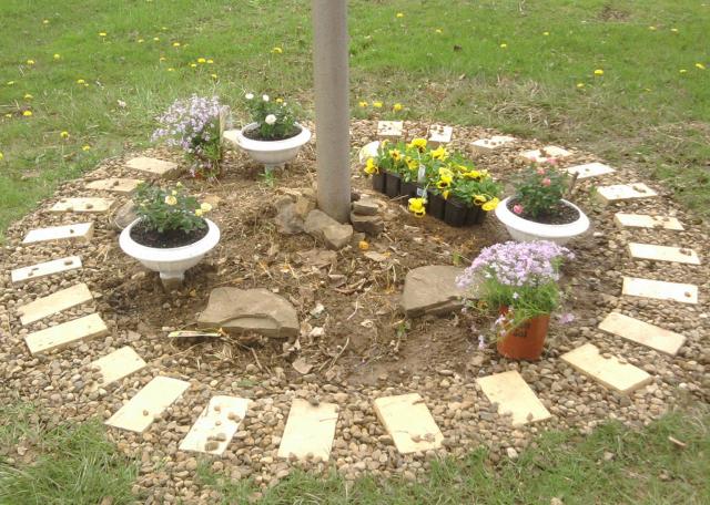 A Rose Garden For Mom....Around Old Glory