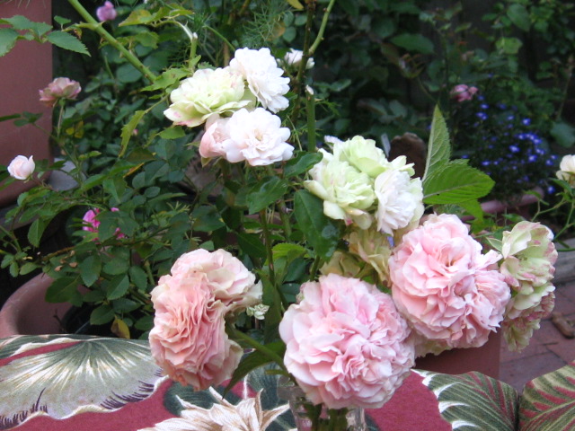 Shades of green - on patio by recliner