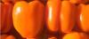 orange bell pepper realneo banner