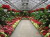 Rockefeller Greenhouse is a Cleveland cultural tresure