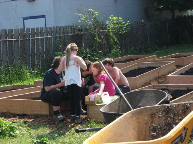 Teaching the children about garden pests.