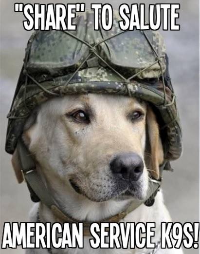 war_dogs.jpg